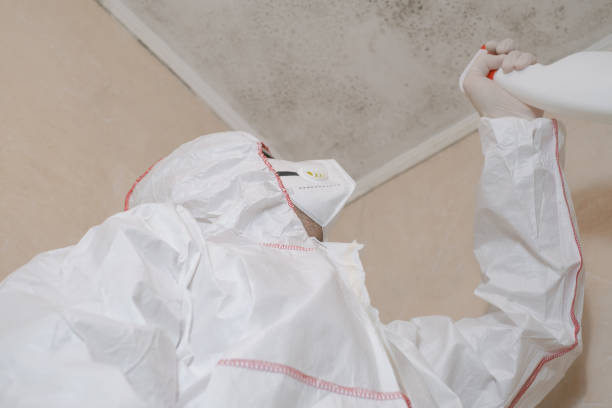 Best Mold Remediation  in North Charleroi, PA